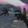 iShandapha (Explicit) - Sicelo welo