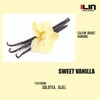 Sweet Vanilla (Calvin Bourz Remix) - Calvin Bourz&Hamang&Goldtea&Sijel