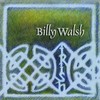 Little Bit of Heaven/Whiskey You're the Devil - Billy Walsh