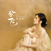 雨纷飞 (DJLHN版) - 阿美呀