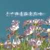 手中握着格桑花呀 (说唱版) - 克里&南乔