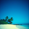 Heartbeat of the Tropics - Chand