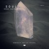 Soul (rAin Remix) - Serge Canteros&rAin (MU)