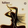 How Long? (1-800 Girls Remix) - Wallflower&1-800 GIRLS