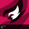 Flux (Original Mix) - Symanth