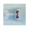 Earth Garden(feat. Charlie Brown, Jeff Chilton, Cory Limuaco & Cary Miga) - David Barber&Blu&Charlie Brown&Jeff Chilton&Cory Limuaco&Cary Miga