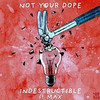 Indestructible (Ben Walter Remix) - Not Your D**e&MAX