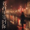 我终于等到你 - 许文文