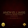 Ridentem Dicere Verum (Original Mix) - Andy Elliass