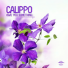 Owe You Something (Me & My Toothbrush Remix) - Calippo