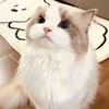 IWantedYou (剪辑版) - EDM大魔王