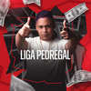 Liga Pedregal (Explicit) - DJ JUNINHO ORIGINAL&Mc Menor Do Chapa