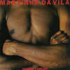 Ao Povo Em Forma De Arte - Martinho Da Vila