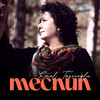 Mecnun - Emel Taşcıoğlu