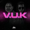 V.U.K - Yuri Lorenzo&Canal Remix