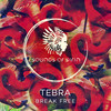 Break Free (Original Mix) - Tebra&Raw Main&Elly Ball