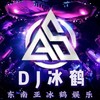 若生命等候 (DJ鹤鹤 remix) (Remix) - 冰什么鹤&dj冰鹤&dj苏辰&冰钰&DJ琦先森