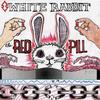 Skrilla - white rabbit
