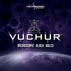 Microscopic Black Holes (Original Mix) - Vuchur