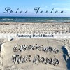 Crossing the Pond (feat. David Benoit) - Spice Fusion&David Benoit