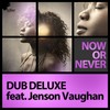 Now or Never - Dub Deluxe&Jenson Vaughan