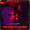 Vai Viver Me Ligando (Explicit) - DJ SM oficial&Emici G da Norte