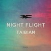 야간비행(Night Flight) (Inst.)(Night Flight (Inst.)) (Instrumental) - 타이비언