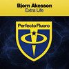 Extra Life - Bjorn Akesson