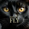 Housecat Fly - Gruup24