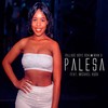 Palesa - Man D&Village Boyz RSA&Michael kush