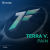 Pain (Radio Mix) - Terra V.