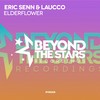 Elderflower (Original Mix) - Eric Senn&Laucco