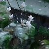 烟雨 - Gifty