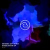 Corpuscular Theory - Senses of Mind