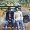 Niwali Ka Tosu Be Hisab Pyar - Wajid Ali