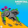 MORTAL (feat. Comisar) - BANkaJI&Comisar