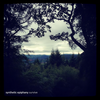 Breathe(170bmp Edit) - Synthetic Epiphany