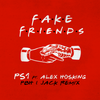 Fake Friends (PBH & Jack Remix) - PS1&Alex Hosking