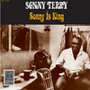 One Monkey Don't Stop The Show (Album Version) - Sonny Terry