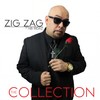 With You(feat. Krush & Simes Carter) - Zig Zag&Krush&Simes Carter