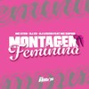 Montagem Feminina (Explicit) - DJ ZS&MC Ster&DJ léozin&Mc Sophie