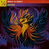 What Is Right - Natixx