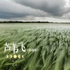 芦苇飞 (说唱版) - 番番&韩圣