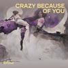 Crazy Because Of you - Elfina