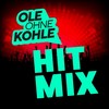 Du kannst mir die Nudel putzen / 1 2 3 4(Wir saufen alles leer)/ Nüchtern gesehen ist besoffen geil (Hitmix) - Ole ohne Kohle