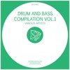 Sunken Temple (Original Mix) - KOIL&Sven Nalis