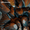 Hybrid - Phloryannn