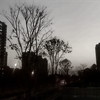 症 - 无脸男葫芦