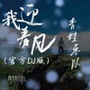 我迎着风 （官方DJ版） - 青蛙乐队