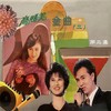 风沙飞 (伴奏) - 李玲玉&燕军&苏珊